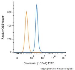 Calreticulin Antibody (1G6A7), FITC, Novus Biologicals 0.1mL; FITC:Antibodies,